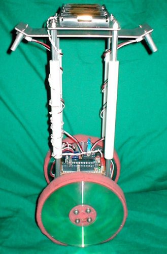 Side View of Balibot