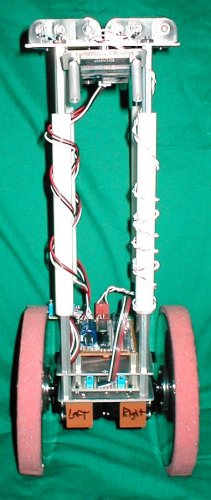 Back View of Balibot